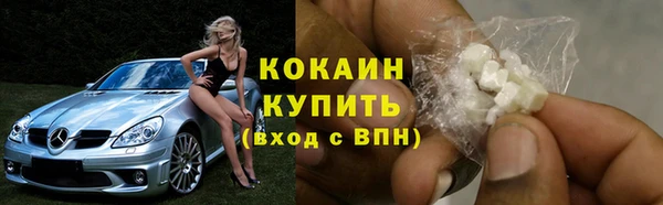 сатива Нефтекумск