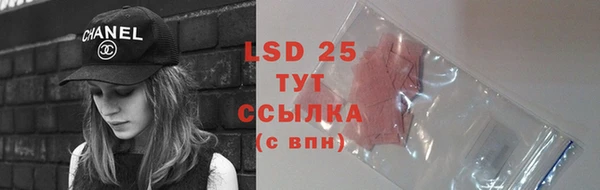 сатива Нефтекумск