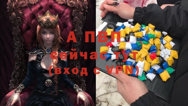сатива Нефтекумск